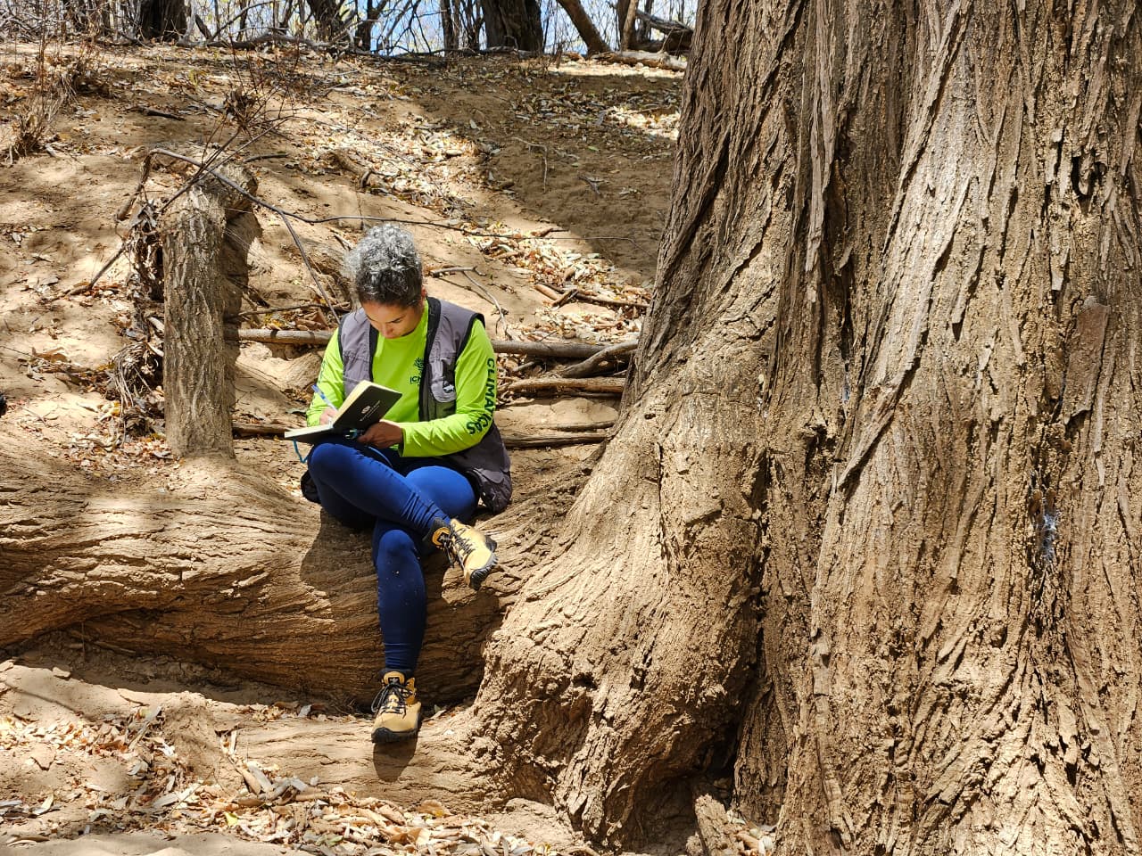 No silêncio, a presença: Diário de Campo