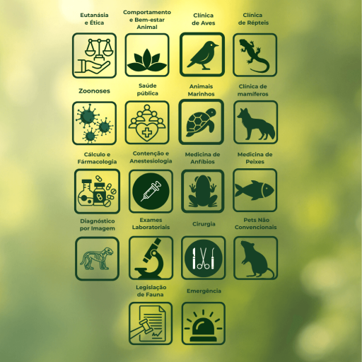 MsC M.V. Gabriele Bortolotto (3)